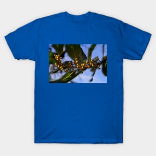 Natural Garden Garland T-Shirt